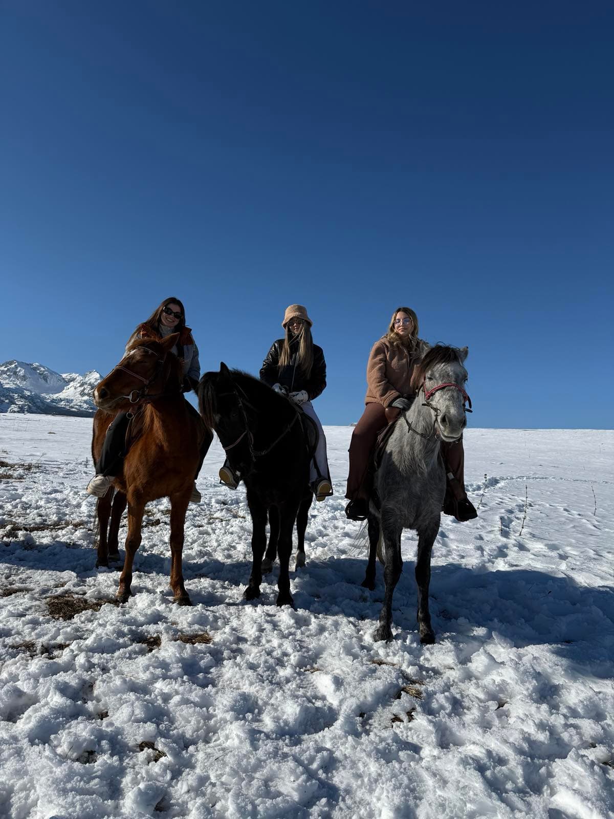 Horseback riding in Montenegro – get to know nature from a completely different perspective