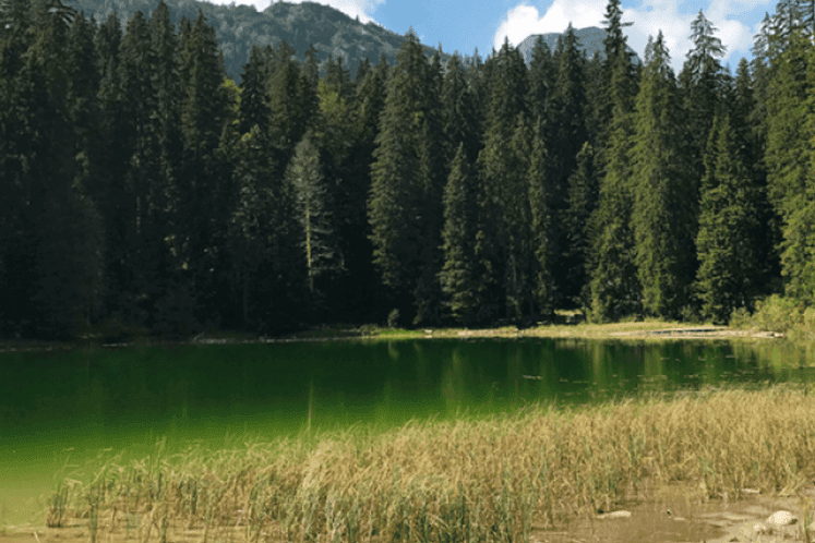Zminičko jezero