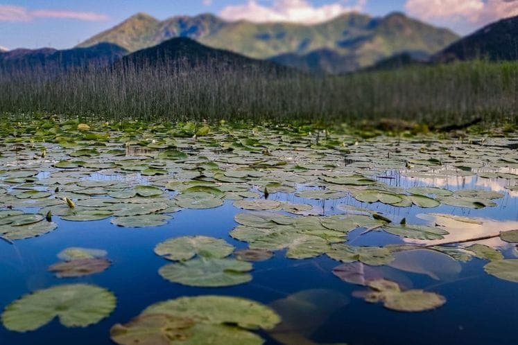 Nacionalni park Skadarsko jezero
