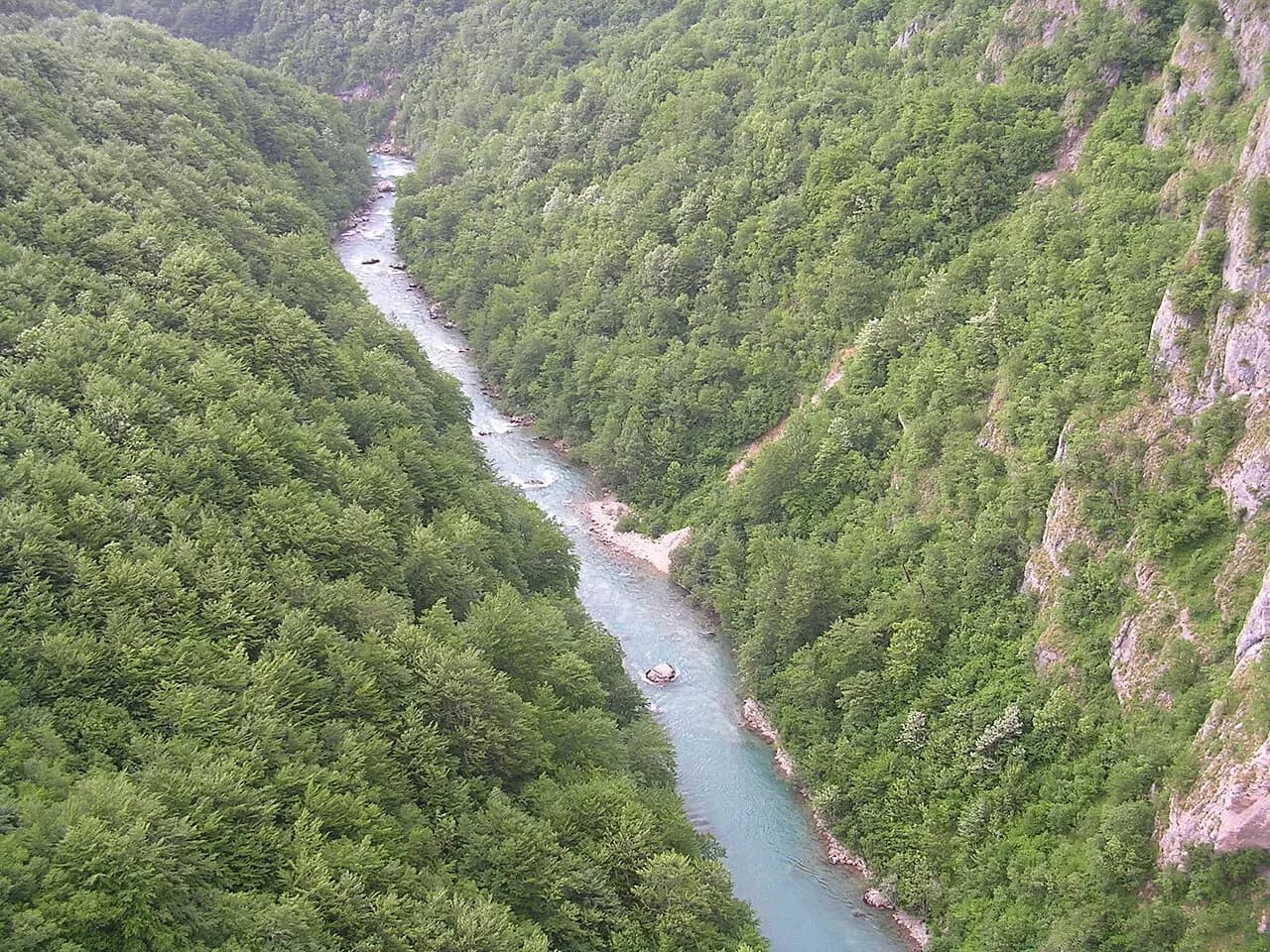 Kanjon Tare