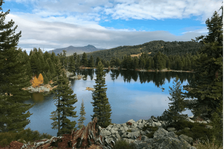 Lake Cliff
