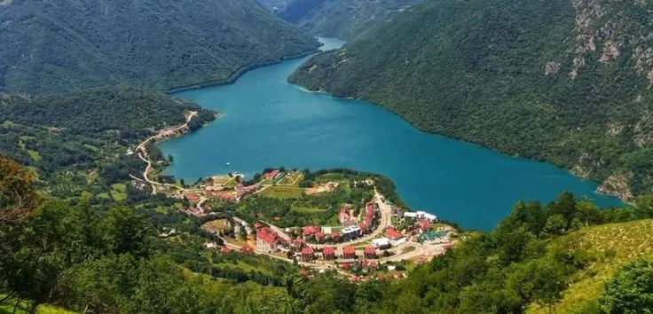 Plužine